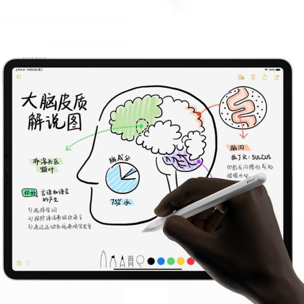 Apple Pencil 2nd Second Generation Stylus-White - Image 3